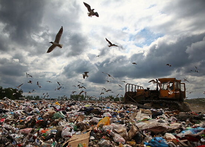 Пластиковое загрязнение планеты